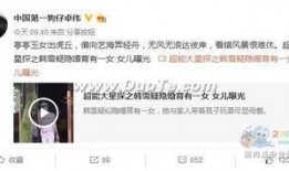 卓伟十点爆料视频大全最新,揭秘娱乐圈最新猛料大盘点